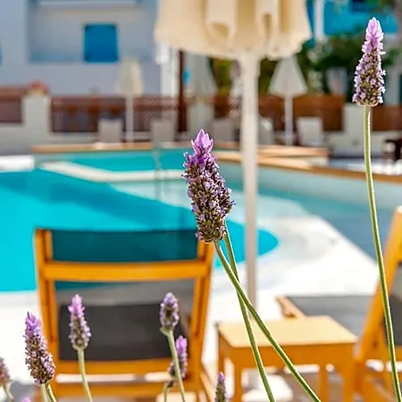 Nissaki Hotel Naxos City