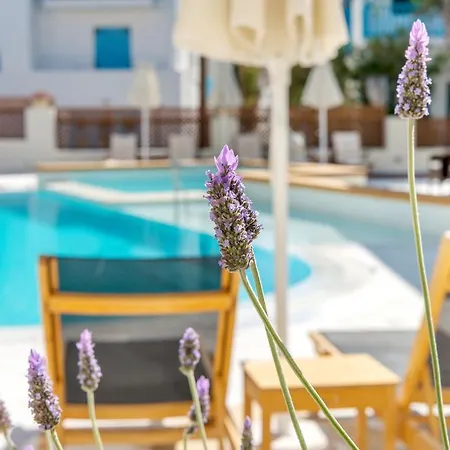 Nissaki 5* Naxos City